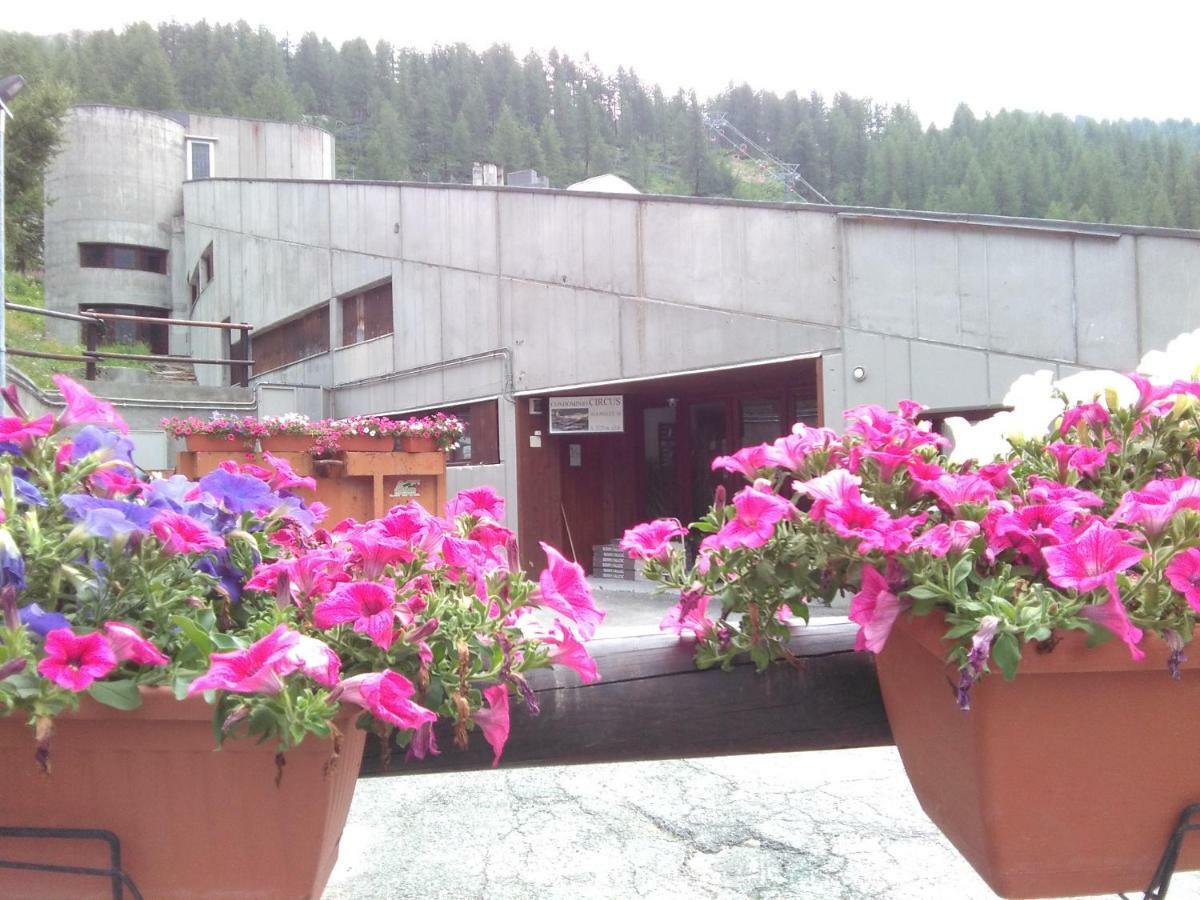 Soldanella Cervinia Apartment Vda Vacanze In Vetta Cir 0253 Breuil-Cervinia Zewnętrze zdjęcie