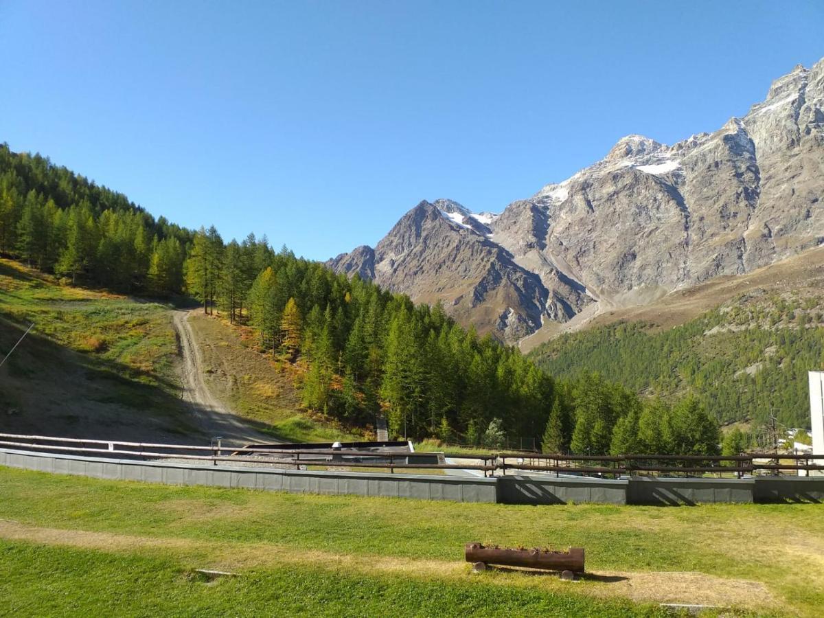 Soldanella Cervinia Apartment Vda Vacanze In Vetta Cir 0253 Breuil-Cervinia Zewnętrze zdjęcie